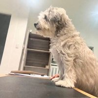 ホテル生活満喫中♡