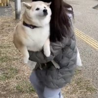 「絶対降りないからっ」