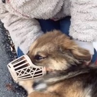 はじめは怯えていました