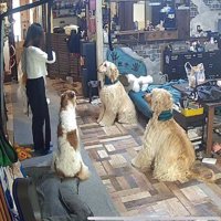 留守番を長女に任せたら…