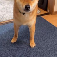 帽子を買ってみたら…