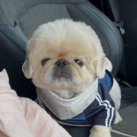 アンニュイ