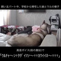 「ウルチャァァァン！！」