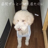 玄関で帰りを待ち続けていた