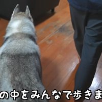 寝かしつけも一緒に…♡
