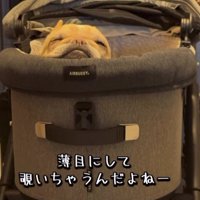 「まだかな？」