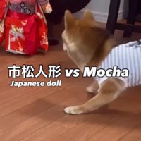 市松人形との攻防戦