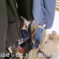 トイレ報告をする桃ちゃん