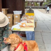 おかきをもらう大型犬