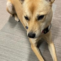 この世に生まれて来てくれて幸せ