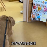 ウキウキで診察室へ