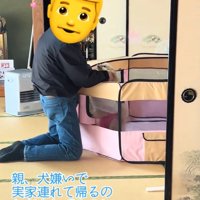 お父さんとキャシーちゃん
