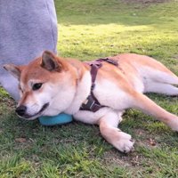 足を枕にしてリラックス