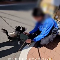 ライタくんを撫でるお兄さん