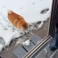 事務所の中へ避難