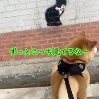 喜びのあまりテンションもアップ