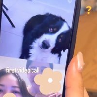 不思議そうなハリーくん