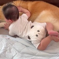 あれ？なんか…