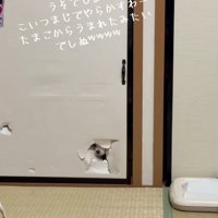 鼻が見えている凛くん