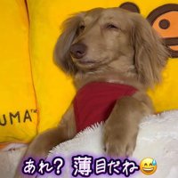 薄目を開けています！