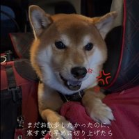 はなまる君の猛抗議3