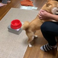 「会いたかったよ～」