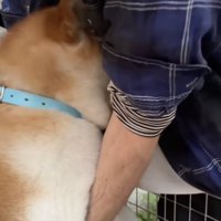 「拒否柴」ならぬ「絶対拒否柴」
