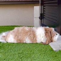 ほっこり