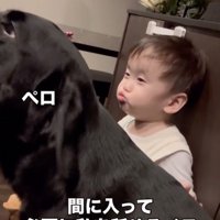 「そんなに怒らないであげて」