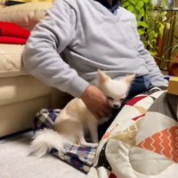 おじいちゃんにベッタリ
