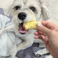 おやつ