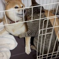ゆずちゃんの愛情表現です♡