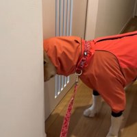 なかなか来ない