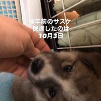 サスケくんの変化