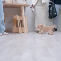 お迎えに大喜び！！