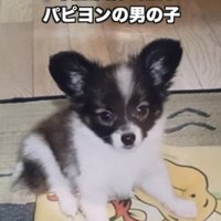 小さかったあの頃