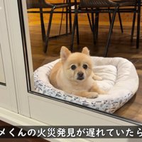 通報は一人目だった
