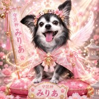 ニコニコ