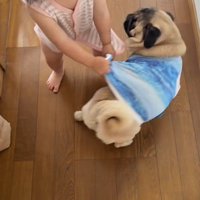 お洋服をつかんで…
