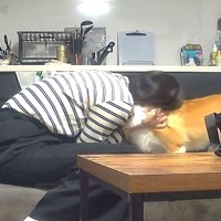 お留守番中のポムちゃん⑩