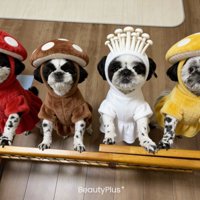 仲良し