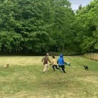 連携