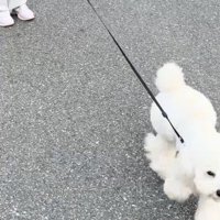 「おかえりー！」