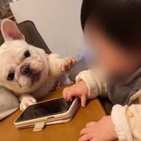 手を伸ばすはなちゃん