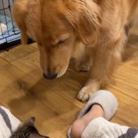 気になって仕方がない