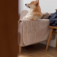 「いい天気だな…」