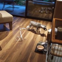 旅行中のティノちゃん2