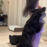 テンちゃんの構って攻撃！