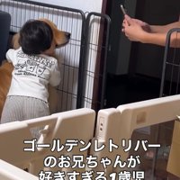 ふたりにスマホを向けるパパ