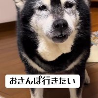 15歳のみーちゃん